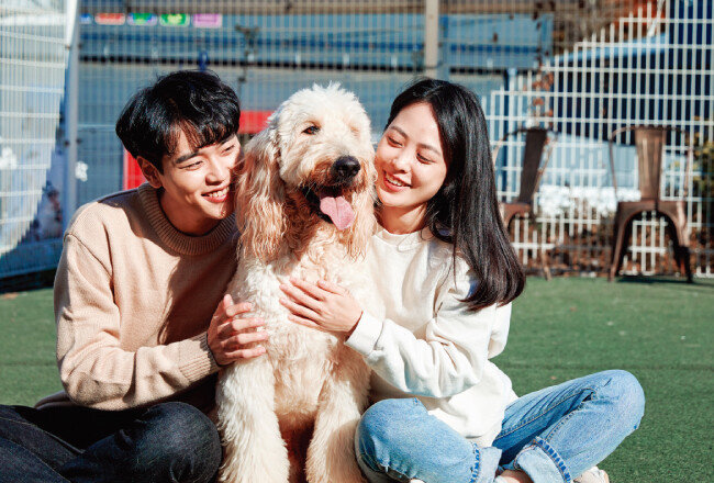 반려견이 하루 종일 혼자 집을 지키는 일이 없도록 가족 구성원이 돌아가면서 반려견과 시간을 보내는 등 노력해야 한다. [GettyImages]
