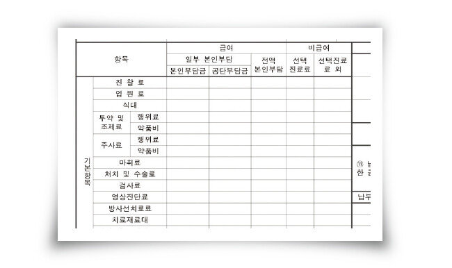 진료비 계산서(영수증) 법정 서식. [이학범 제공]