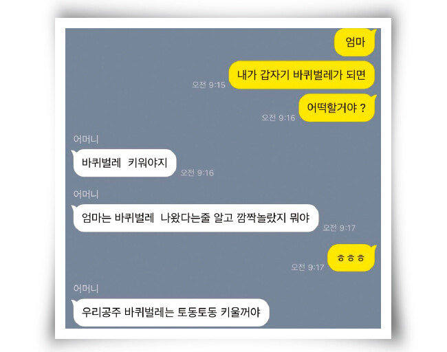 한 트위터리언이 ‘내가 바퀴벌레로 변하면’이라는 질문을 가족에게 던지고 돌아온 답변을 캡처한 이미지. [whoamyun 트위터 캡처]
