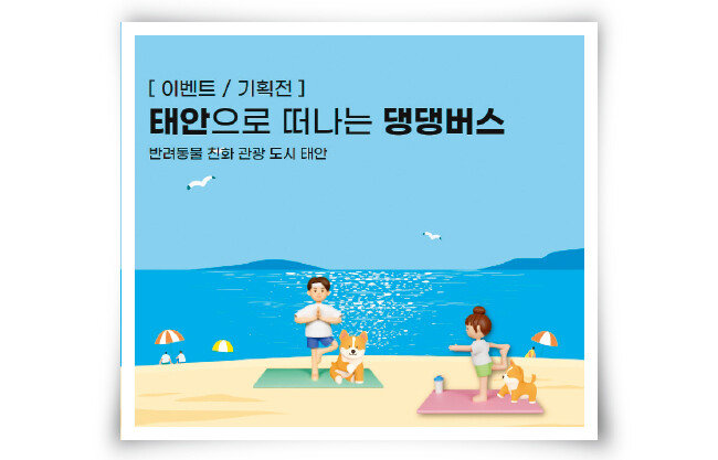 한국관광공사와 충남 태안군은 6월부터 반려견과 함께 전용버스를 타고 반려동물 친화관광도시로 선정된 태안군을 여행하는 ‘태안으로 떠나는 댕댕버스’를 운영하고 있다. [한국관광공사 제공]