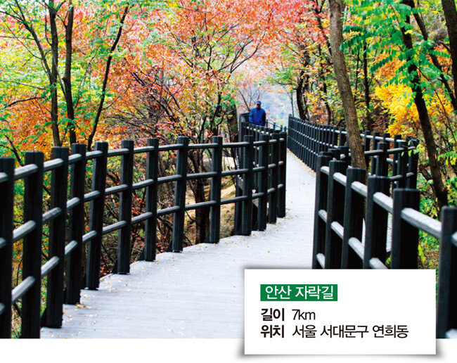 [서울 서대문구 제공]