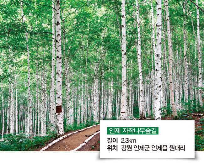 [한국관광공사 사진갤러리-이범수 제공]