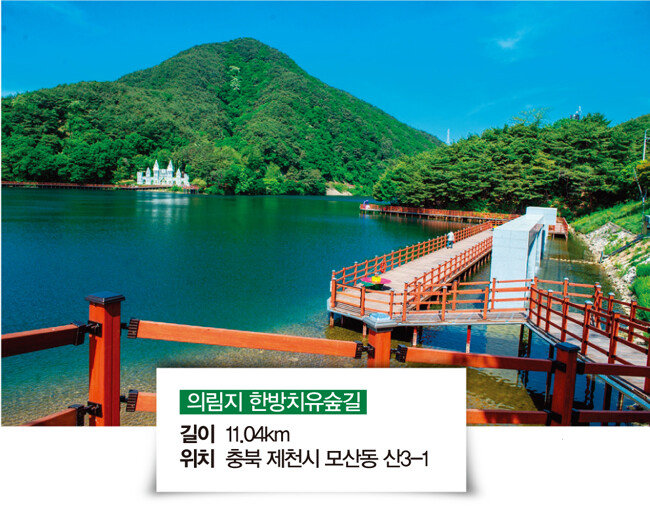 [충북 제천시 제공]