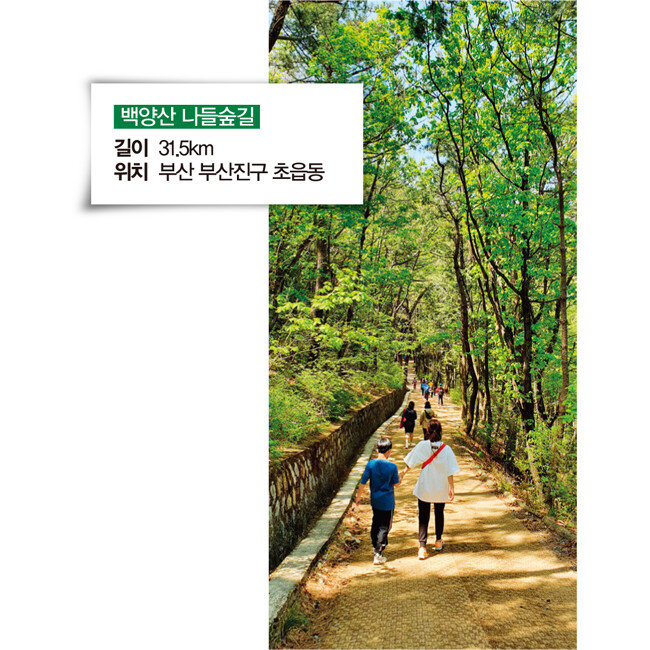 [부산 부산진구 제공]