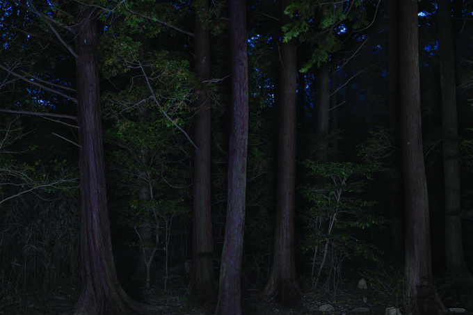 Taejoong Kim, Foresta, Foresta 07, 2013, Pigment Print.