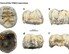 라오스 동굴서 발견된 이빨…13만년전 고대 인류로 추정