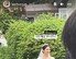 장나라, 결혼식서 순백 드레스 자태…절친 박경림 사회·이수영 축가