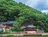 카누 타고 역사물길 헤치니… 800년 고려장경 佛心에 시름 스르르