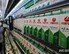 정부, 서울우유 원유가격 기습 인상에 뿔났다…“차등가격제 조속 도입”