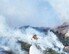 [일문일답]소방당국 “인왕산 산불, 진화율 70~80%…헬기11대 투입 진화중”