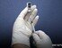 코로나 백신 피해 81명 보상 결정…심의 건수의 14.1%