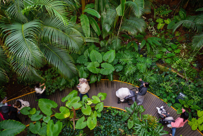 서울 최초 도시형 식물원으로 4개(열린숲, 호수원, 습지원, 주제원)의 구역으로 나누어져 있다.