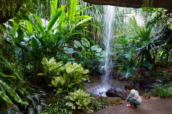 온실 입구에 있는 폭포.