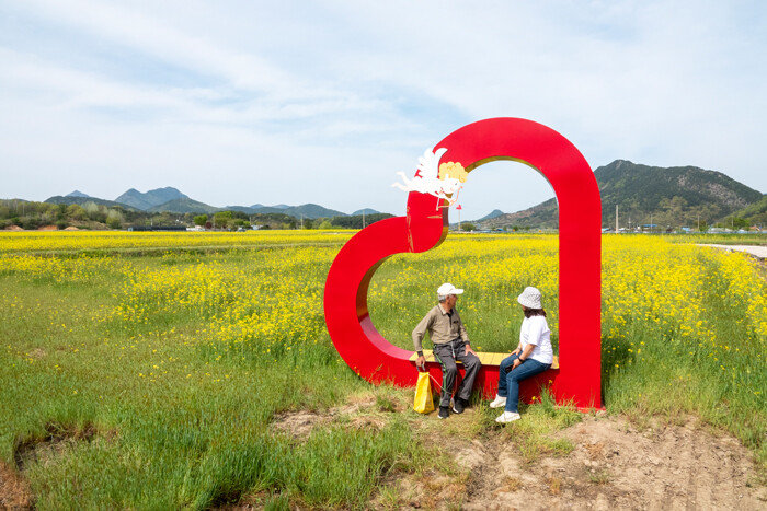 순창군 적성면에 자리한 유채꽃 단지. [순창발효관광재단]