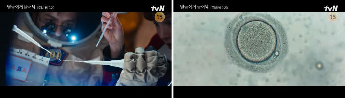 tvN 드라마 ‘별들에게 물어봐’에서 우주선에 탑승한 산부인과 의사가 루페(loupe·확대경)에만 의지해 난자 내에 정자를 주입시키는 미세수정에 성공하는 장면. [tvN 드라마 유튜브 채널 캡처]