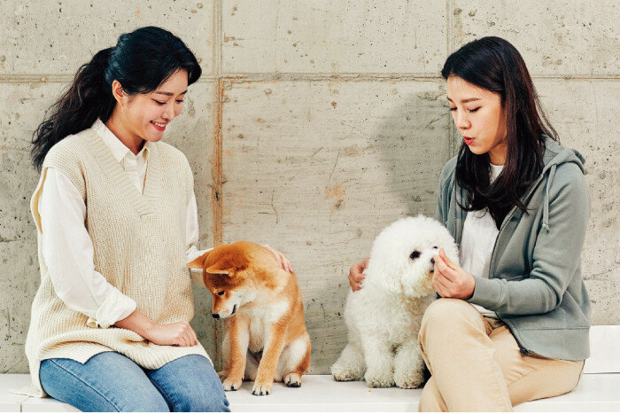 반려견 보호자가 나이, 몸집, 체력 등 조건이 비슷한 몇몇 강아지와 놀 수 있도록 분위기를 만들어주는 것이 좋다. [GettyImages]