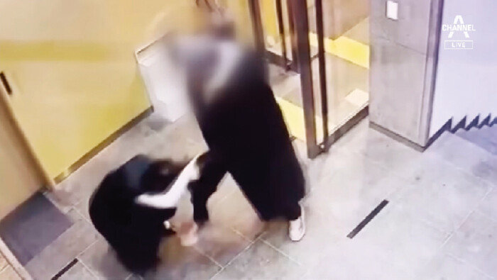 5시 20분께 A 군은 국민의힘 배현진 의원을 만나자 “국회의원 배현진이냐”고 물은 뒤 18초 동안 돌덩이로 17차례 내려쳤다. 하나같이 머리를 노린
공격이었다. [채널A 유튜브 채널 캡처]