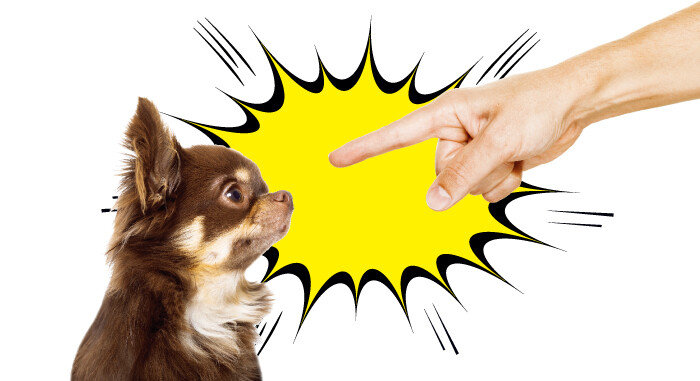 체벌을 바탕으로 한 반려견 훈련법에는 여러 부작용이 있다.