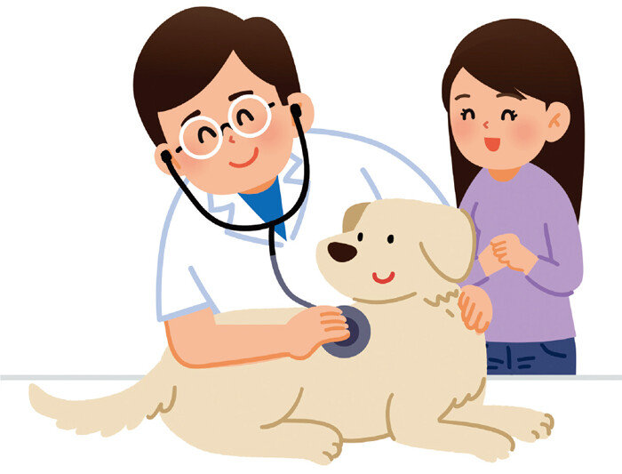 지난해 ‘동물진료비 게시제’가 의무화됐다. [GETTYIMAGES]