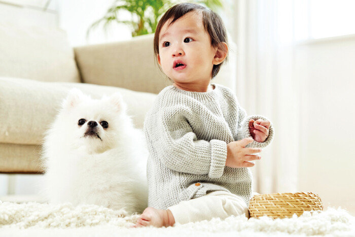 집안에 아기가 태어나면 반려견이 크고 작은 변화에 곤란을 겪을 수 있다. [GETTYIMAGES]