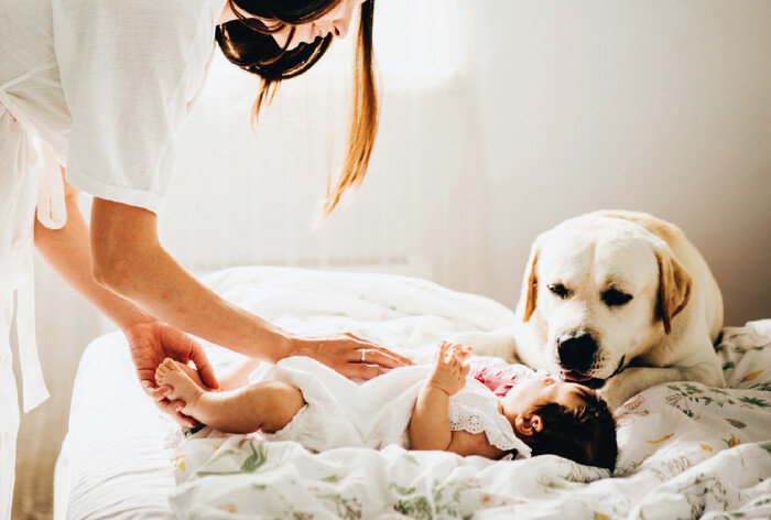 아기가 태어나면 아기가 집에 오기 전 반려견이 아기의 존재를 인식하고 호감을 가질 수 있도록 환경을 조성해줘야 한다. [GETTYIMAGES]
