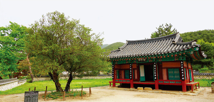 경남 산청 산천재. 남명 조식이 직접 심은 매화나무가 산천재를 지키고 있다. [안영배 제공]