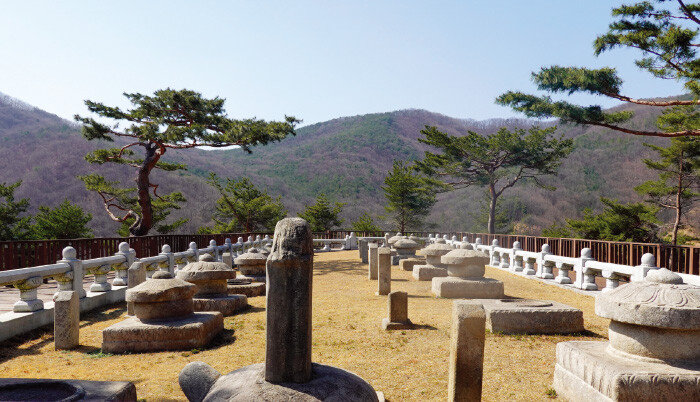 경북 성주군 세종대왕자 태실. 세종대왕 후손인 18명의 왕자와 세손인 단종의 태실 1기를 합쳐 모두 19기가 군집을 이루고 있다. [안영배 제공]