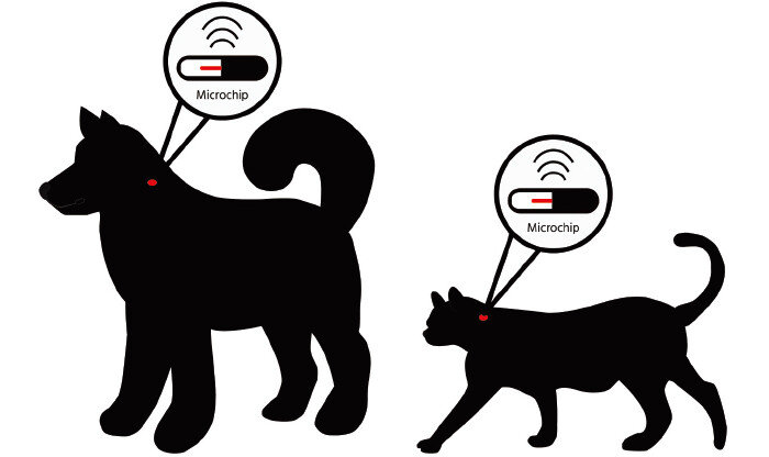 정부가 ‘칩 이식 거부감’을 이유로 내장형 동물등록 대신 비문(코주름), 안면인식 등 생체인식 등록을 추진하고 있다. [GETTYIMAGES]