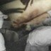 장미 터널 아래 킬러…통영 60대 여성 살인 사건 (그알)