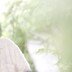 임영웅 이름 딴 세 번째 숲 생겼다…1·2호보다 규모 확대