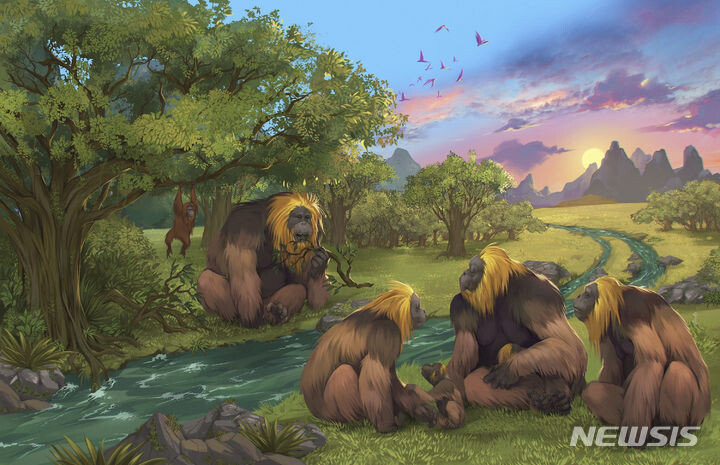 Why are 3m tall giant apes becoming extinct?… “Due to environmental changes and lack of food” Why are 3m tall giant apes becoming extinct?… “Due to environmental changes and lack of food”