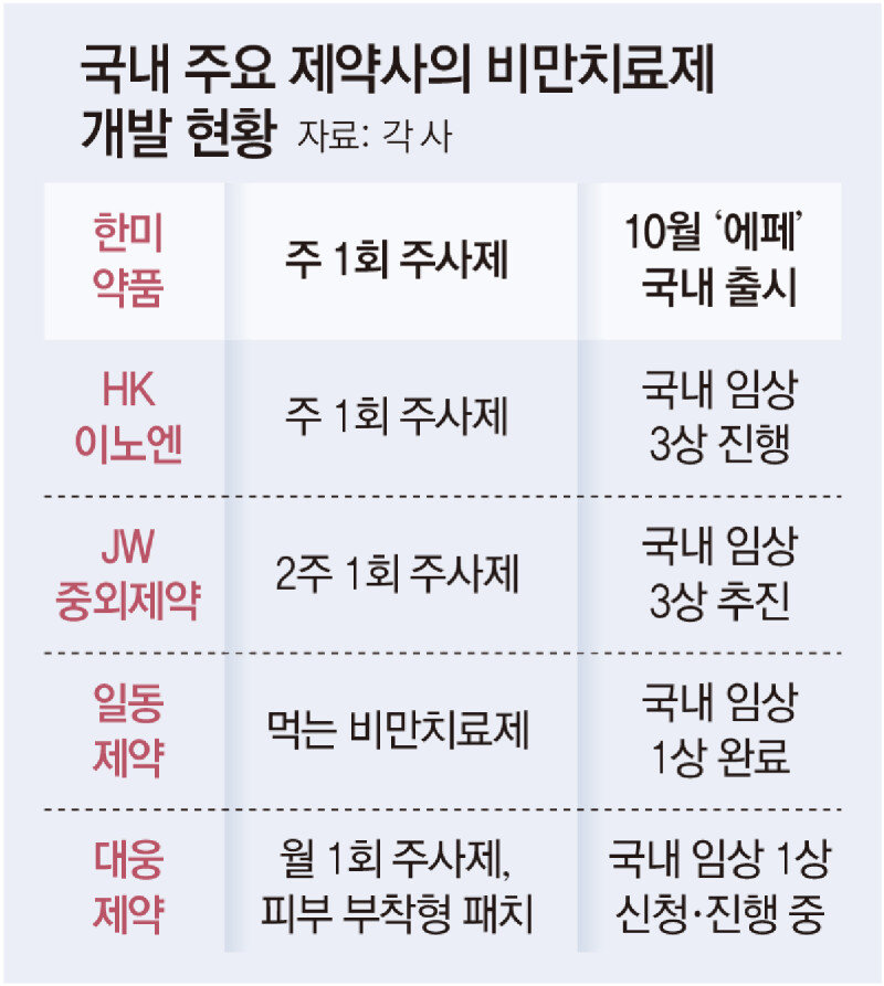첫 국산 비만약 ‘에페’ 처방 시작… “마운자로 반값, 문의 잇따라”