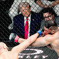 트럼프 팔순 맞아 백악관서 UFC 격투 경기… “강한 이미지 활용”[글로벌 현장을 가다/신진우]