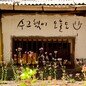 [고양이 눈]뜻밖의 응원
