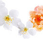New Blooming Scents
