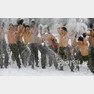 2014년 1월 8일 강원 평창군 황병산에서 진행된 특전사 설한지 극복훈련에 참가한 장병들이 비트속에서 은거지 구축훈련을 하고 있다. 원대연기자 yeon72@donga.com