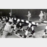 모의 북괴군 습격 퇴치 예비군 훈련
(1984.5.1)