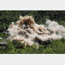 북한 핵무기연구소 관계자들이 지난 5월24일 함경북도 길주군 풍계리 핵실험장 폐쇄를 위한 폭파 작업을 했다. (사진공동취재단) 2018.5.25/뉴스1 © News1 사진공동취재단