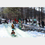 태백산눈축제 눈-얼음 미끄럼틀 © News1
