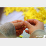지난 11일 서울 종로구 참여연대 노란리본공작소에서 자원봉사자들이 세월호 리본을 만들고 있다. 2019.4.15/뉴스1 © News1
