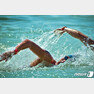 오픈워터 수영대회 자료사진.(수영대회 조직위 제공) 2019.6.30 /뉴스1 © News1