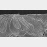 ‘선각단화쌍조문금박’에 문양을 새긴 기법. 국립경주문화재연구소 제공