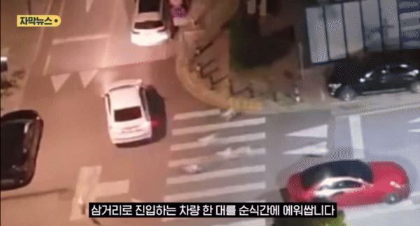 유치원 인근서 차량 에워싼 들개 10여마리…시민들 ‘불안’(영상)