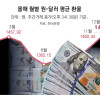 South Korea moves to shore up year-end exchange rate