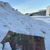 Greenlanders mock Trump at anti-MAGA protests