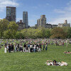 New York parks define urban life