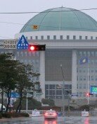 헌재 결정 무시하는 국회…‘위헌 법률’ 29건 방치