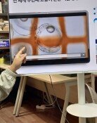 파산 직전에 일본 능가… “고등어 6개월이면 1만배”[허진석의 톡톡 스타트업]