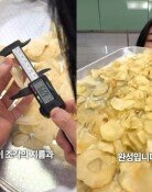 “포카칩 한봉지에 감자 0.6개” 유튜버 실험에…오리온 해명은[e글e글]
