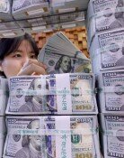 IMF의 경고…韓 환리스크 달러자산, 외환시장 규모의 25배